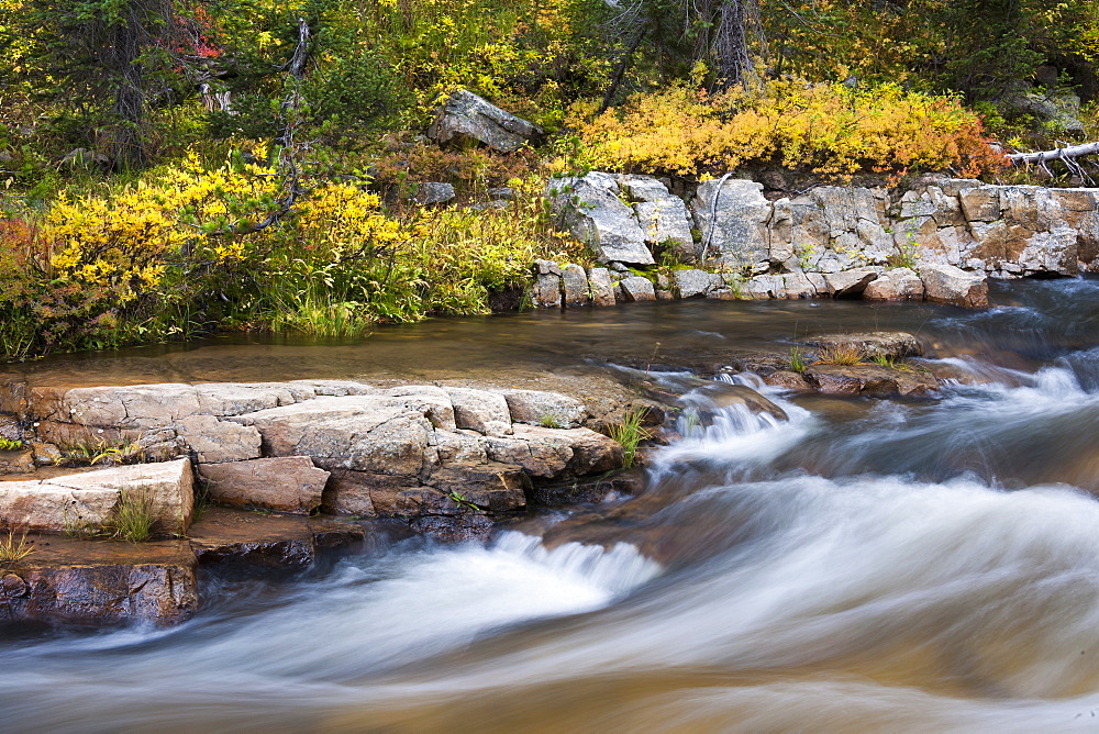 Falls colours and foliage along the Upper Provo River, Uinta Mountains, Utah, USA