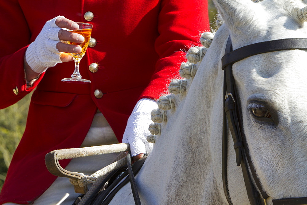 A Master of Foxhounds having a drink at a hunt meet, Master of Foxhounds, England