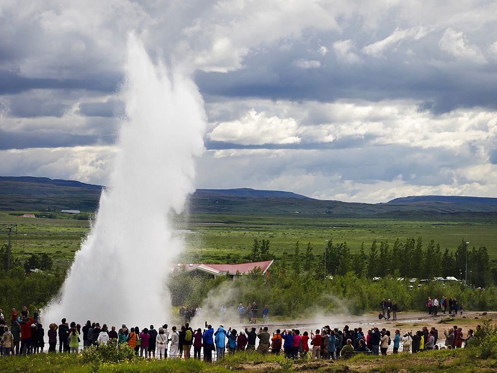 A geysir, a plume of hot steam escaping from the ground at a hot springs area, Iceland