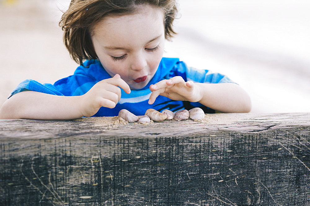 A boy at the beach counting shells lined up on a breakwater, England