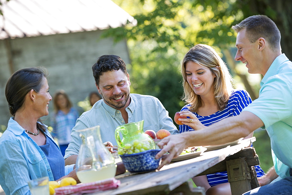 A family, adults and children seated around a table, enjoying a meal together, Woodstock, New York, USA