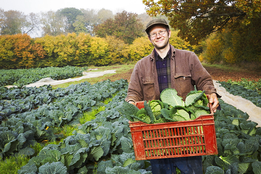 A man carrying a crate of fresh picked vegetables in a field. 