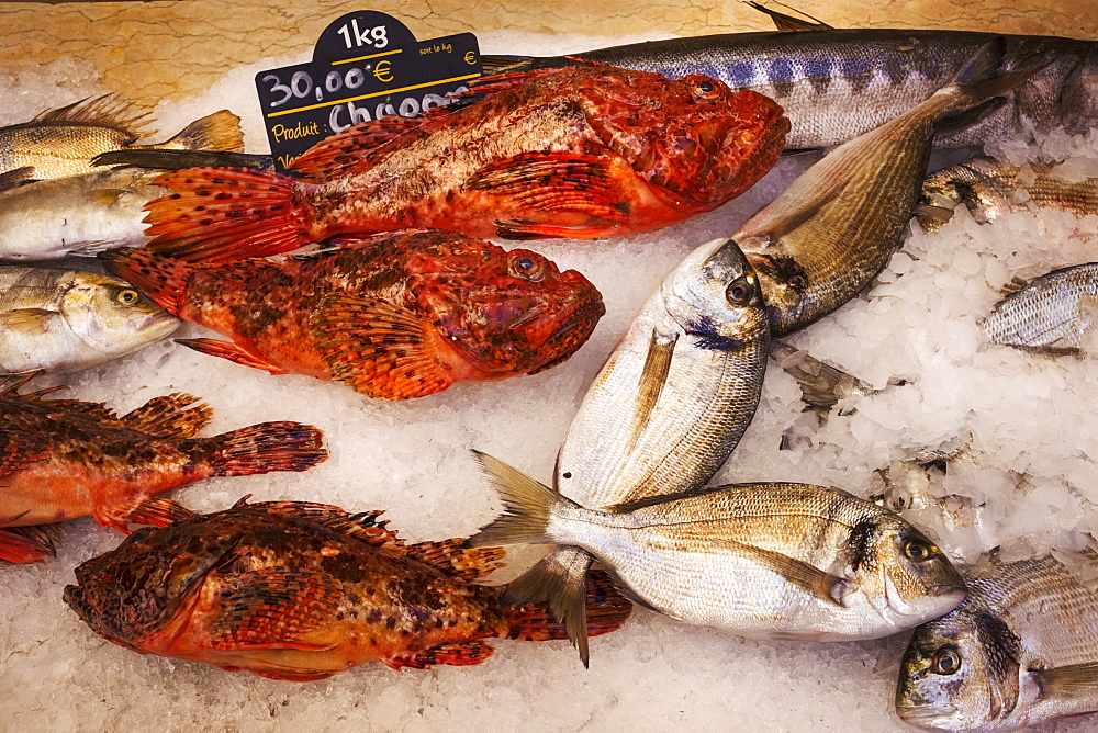 A display of fresh fish on ice on a market stall, France