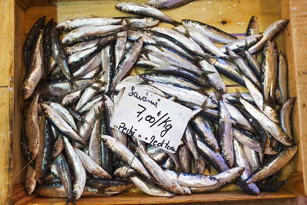 A display of fresh fish on ice on a market stall, France