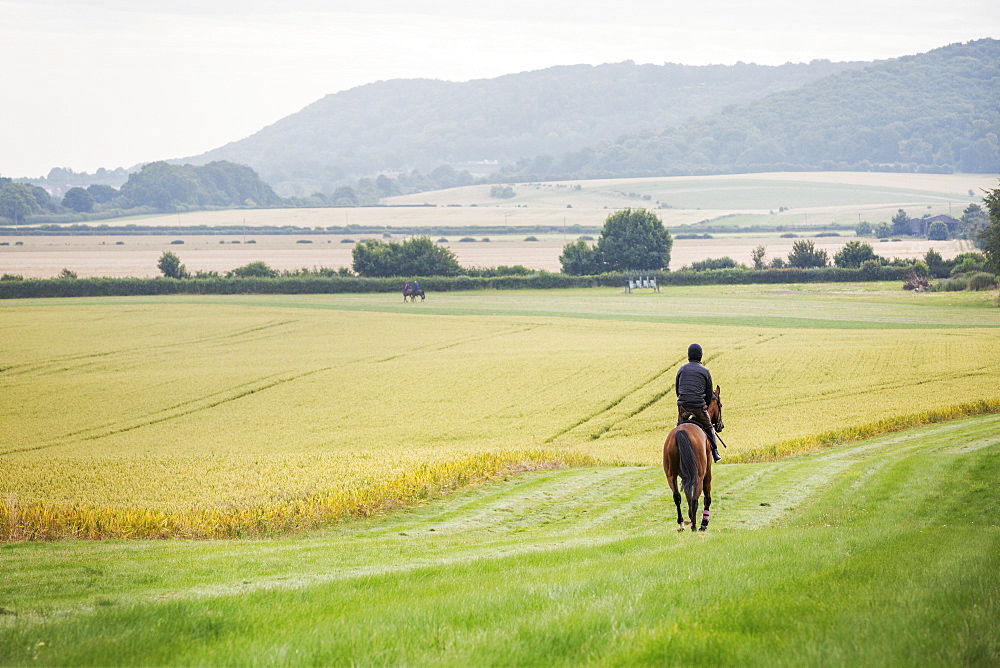 Rear view of a man riding a horse across a field.