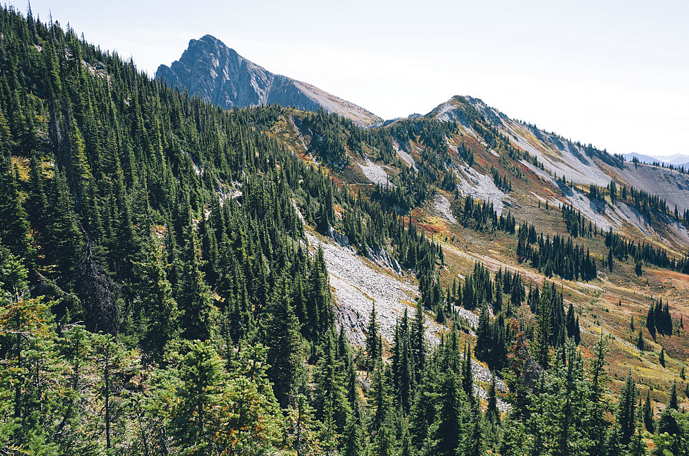 Autumn in the North Cascades, near Harts Pass, Pacific Crest Trail, Pasayten Wilderness, Washington, United States of America