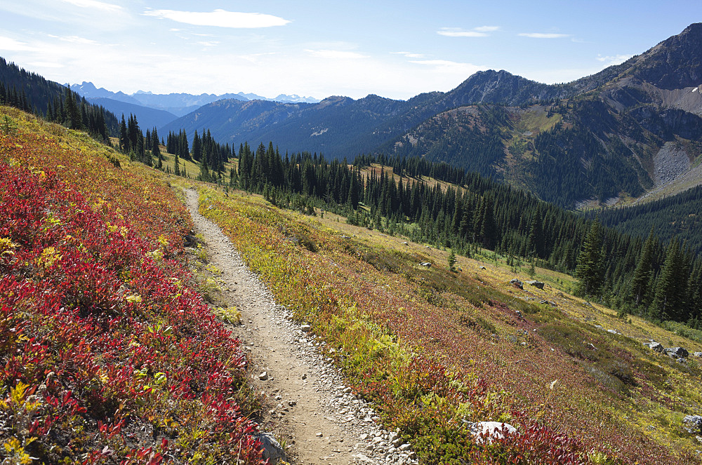 Hiking trail in the North Cascades, Pacific Crest Trail through pristine alpine wilderness, autumn, near Granite Pass, Pasayten Wilderness, Okanogan National Forest, Washington, United States of America