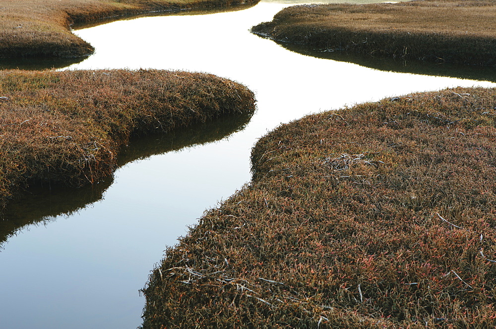 The open spaces of marshland and water channels. Flat calm water.