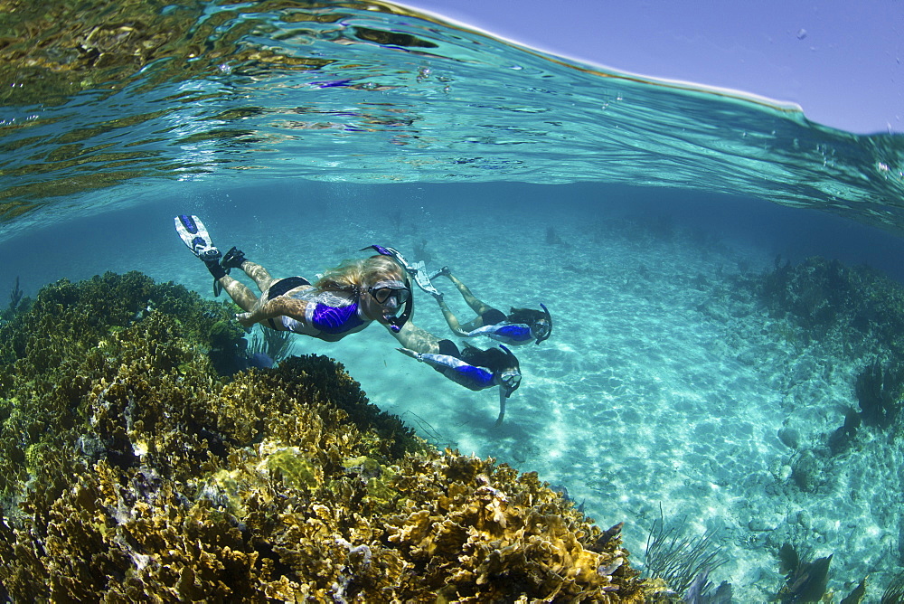 Over/under of three snorkelers underwater on a reef near New Providence, Bahamas