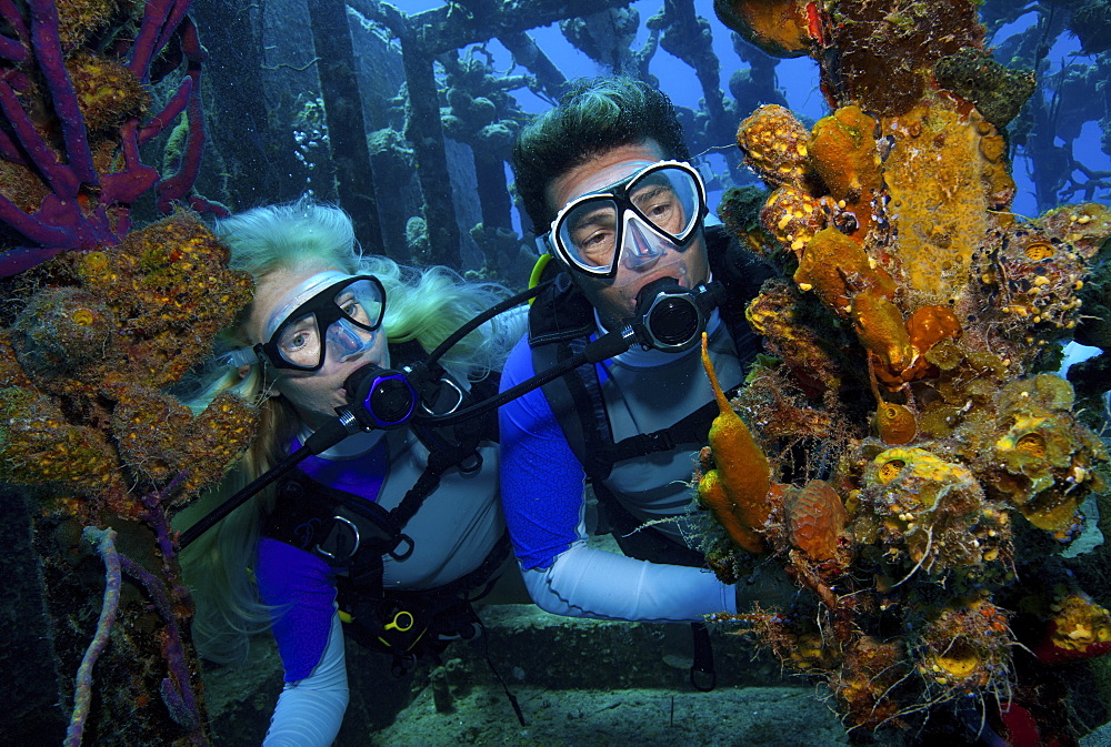 Divers observe marine life attached to the remnants of the hull of a shipwreck dive site.