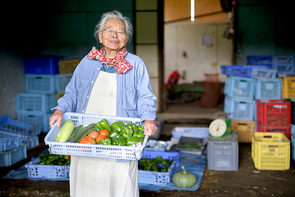 Elderly woman with grey hair standing in front of barn, holding blue plastic crate with fresh vegetables, smiling at camera, Japan