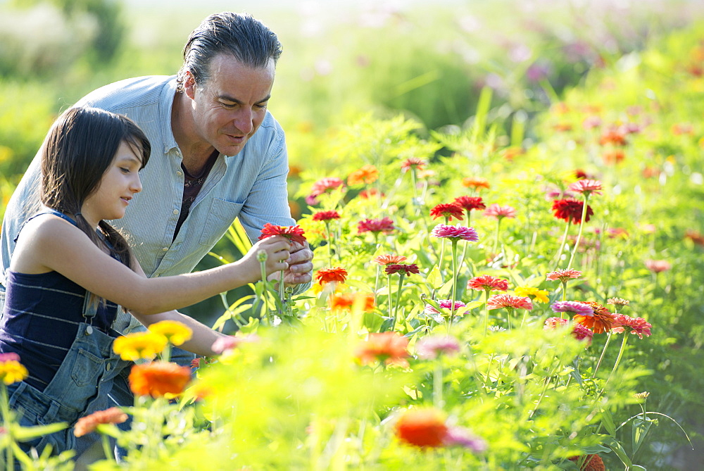 Summer on an organic farm. A man and a girl in a field of flowers.