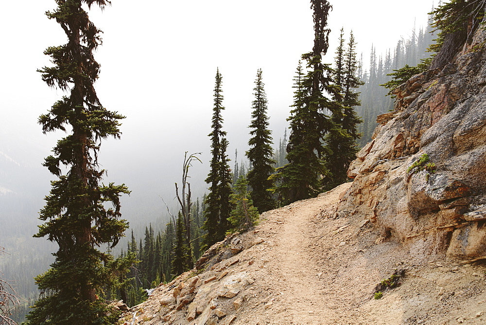 The Pacific Trail winds along a smoky and hazy section, near Cutthroat Pass, North Cascades, Washington, United States of America