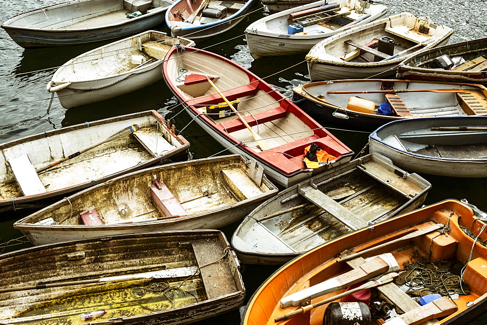 Small wooden rowing boats moored on long lines in a harbour, packed together, Cornwall, England