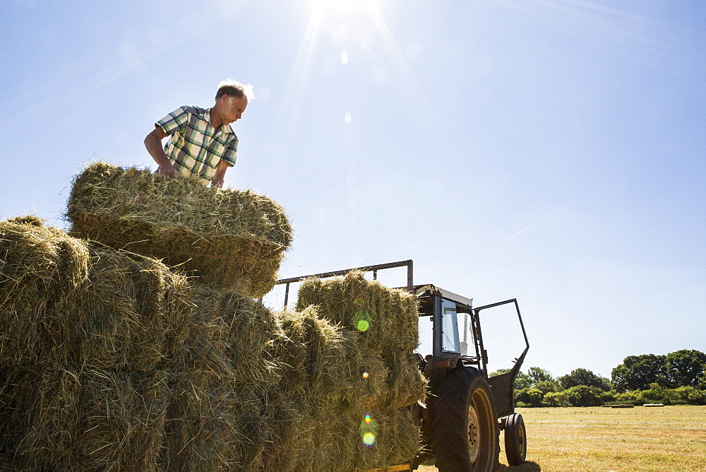 Farmer stacking hay bales on a trailer, Oxfordshire, England