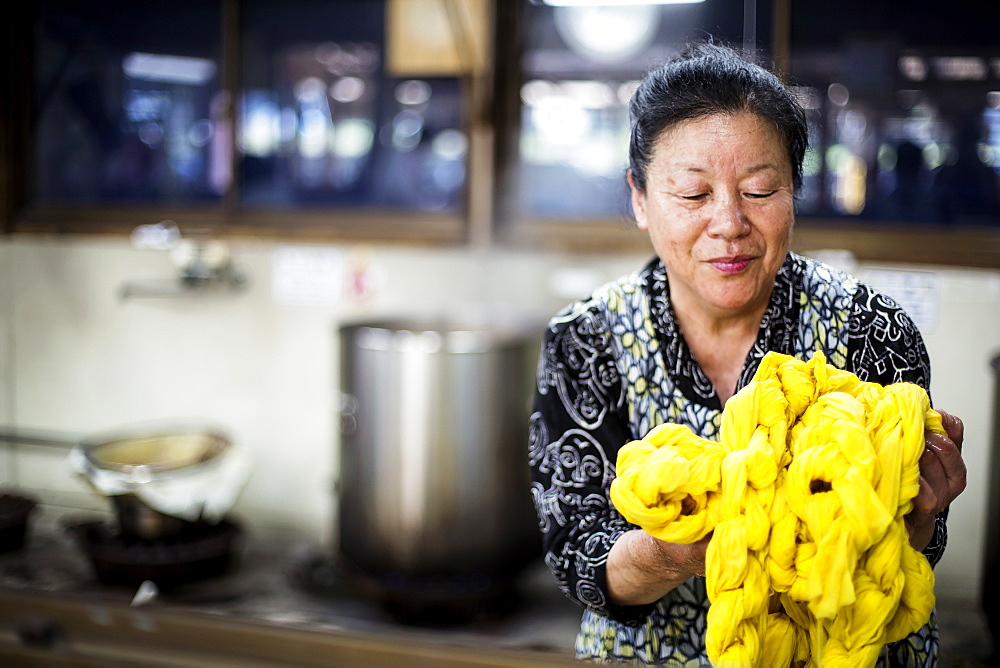 Japanese woman standing in a textile plant dye workshop, holding piece of bright yellow fabric, Kyushu, Japan