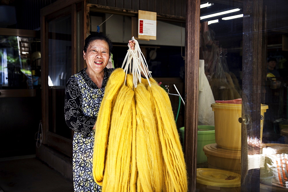 Japanese woman working in a plant dye workshop,  holding up freshly dyed bright yellow fabric, Kyushu, Japan