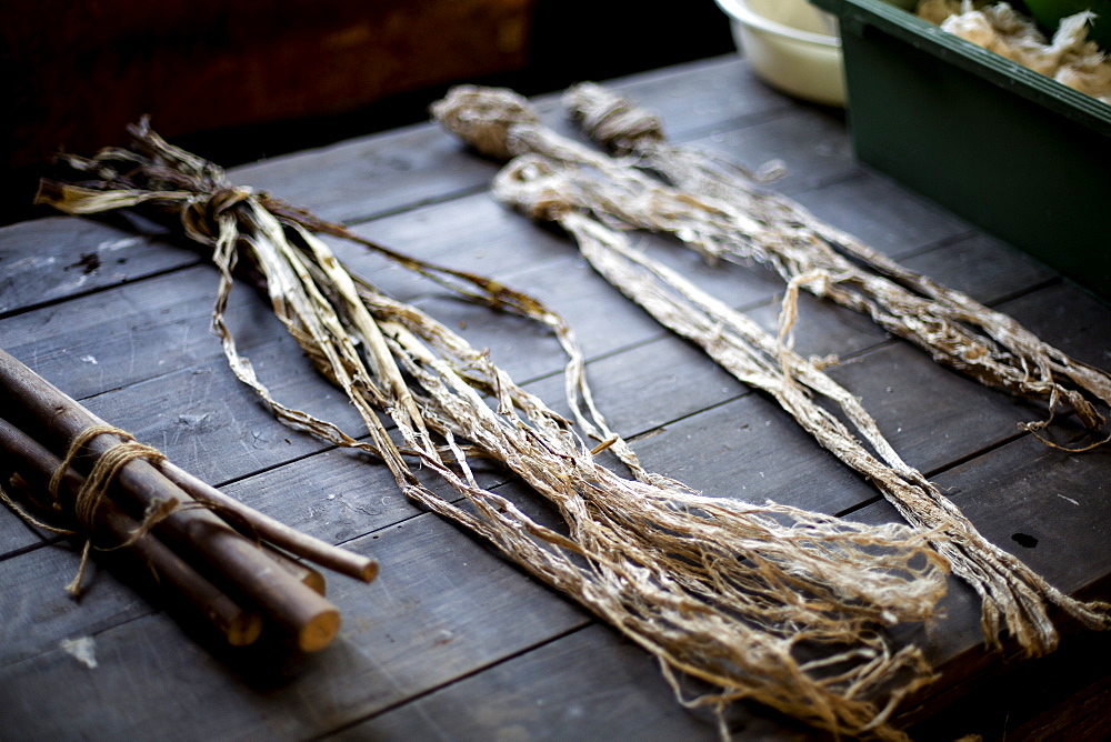 Small bunches of branches and plant fibres on a table, the organic matter used in making washi paper, Kyushu, Japan