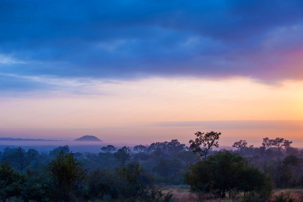 A landscape, dark trees and bushes in foreground, silhouette of mountains with mist in the background, heavy grey clouds with sunset, Londolozi Game Reserve, Sabi Sands, Greater Kruger National Park, South Africa