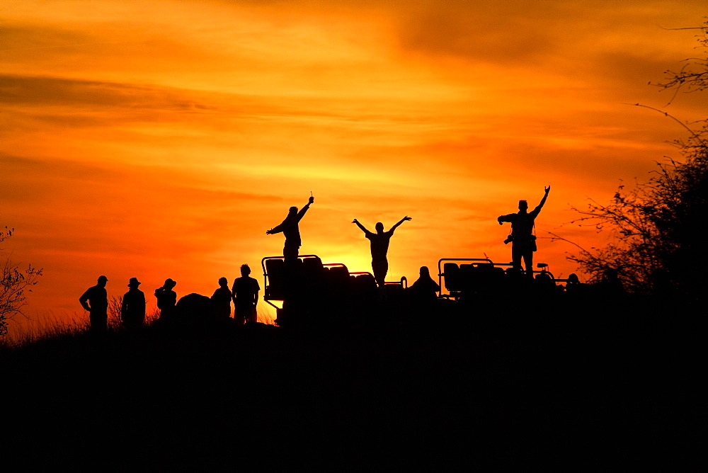 A silhouette of people and a vehicle, people with hands in the air, against sunset, orange and yellow sky, Londolozi Game Reserve, Sabi Sands, Greater Kruger National Park, South Africa