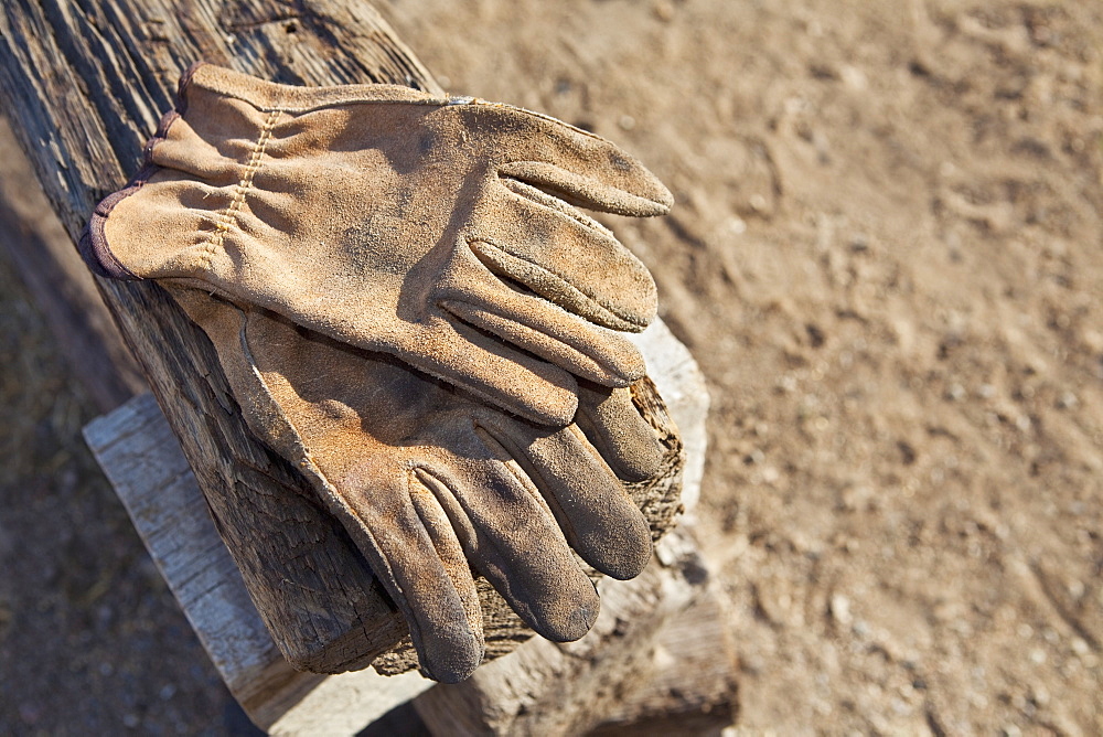 Work Gloves, Entrada, Colorado, United States of America