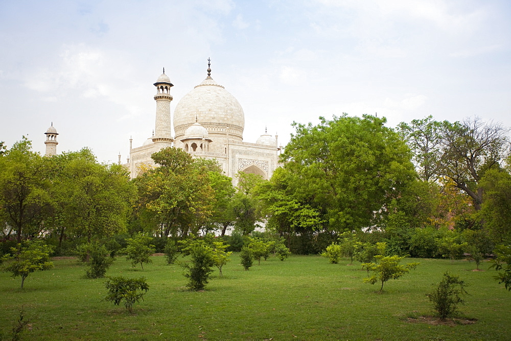 Taj Mahal behind trees in park, Agra, Uttar Pradesh, India, Agra, Uttar Pradesh, India