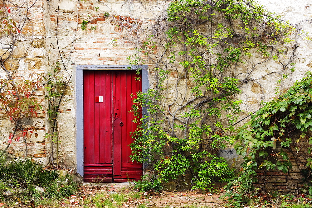 Red Door in Old Brick and Stone Cottage, Siena, Tuscany, Italy