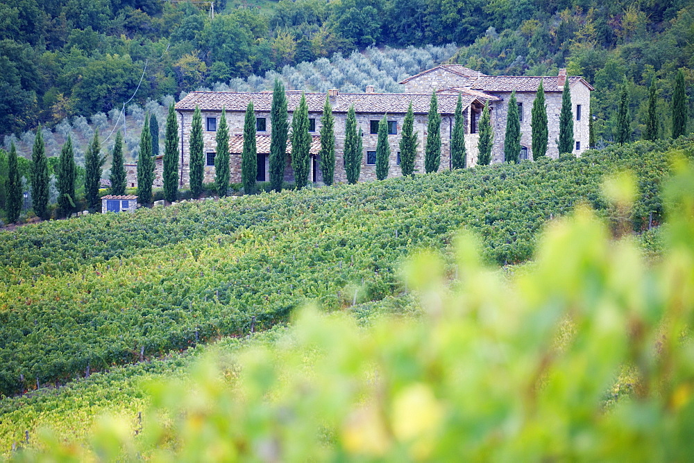 Stone Farmhouse and Vineyard, Panzano, Tuscany, Italy