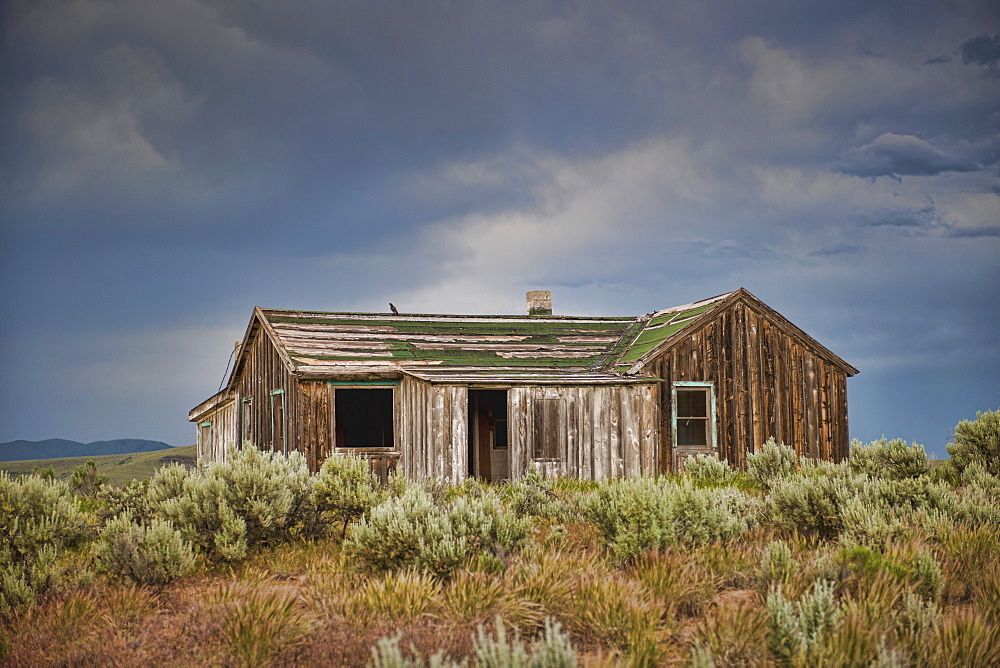 Abandoned Countryside House, Phoenix, Arizona, United States of America