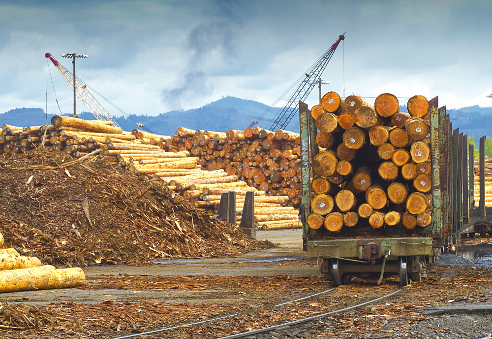 Logs on railroad trailer, Portland, Oregon, United States of America