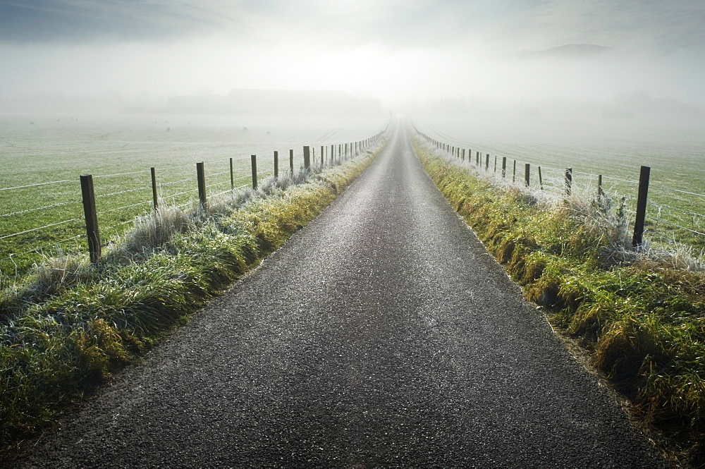 Road through rural fields, Ross-shire, Scotland, UK