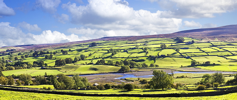 Hillside Pastures, Swaledale, Yorkshire Dales, England, UK