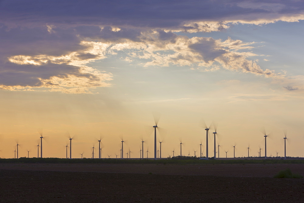 Wind Farm at Dusk, Roscoe, Texas, USA