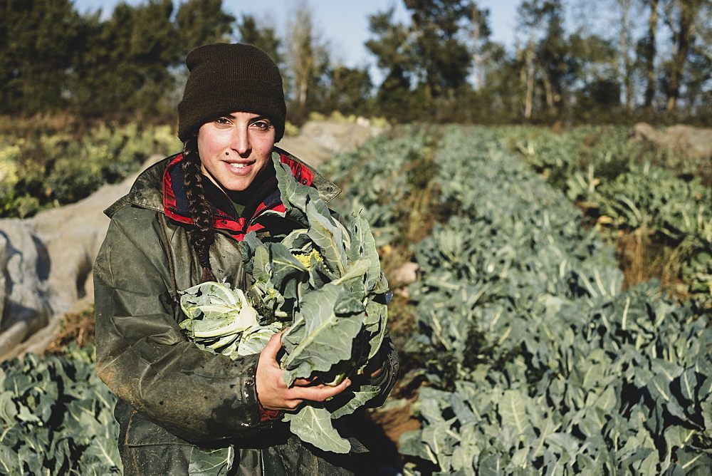 Smiling woman standing in field, holding blue crate with freshly harvested cauliflowers, looking at camera, Oxfordshire, England