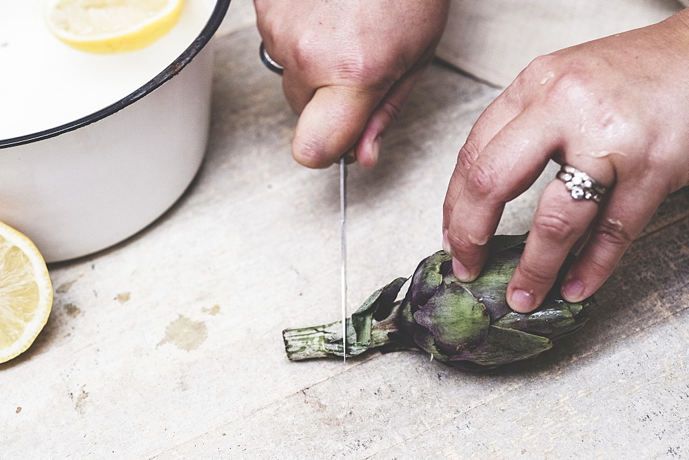 High angle close up of person cutting fresh artichoke with kitchen knife, Oxfordshire, England