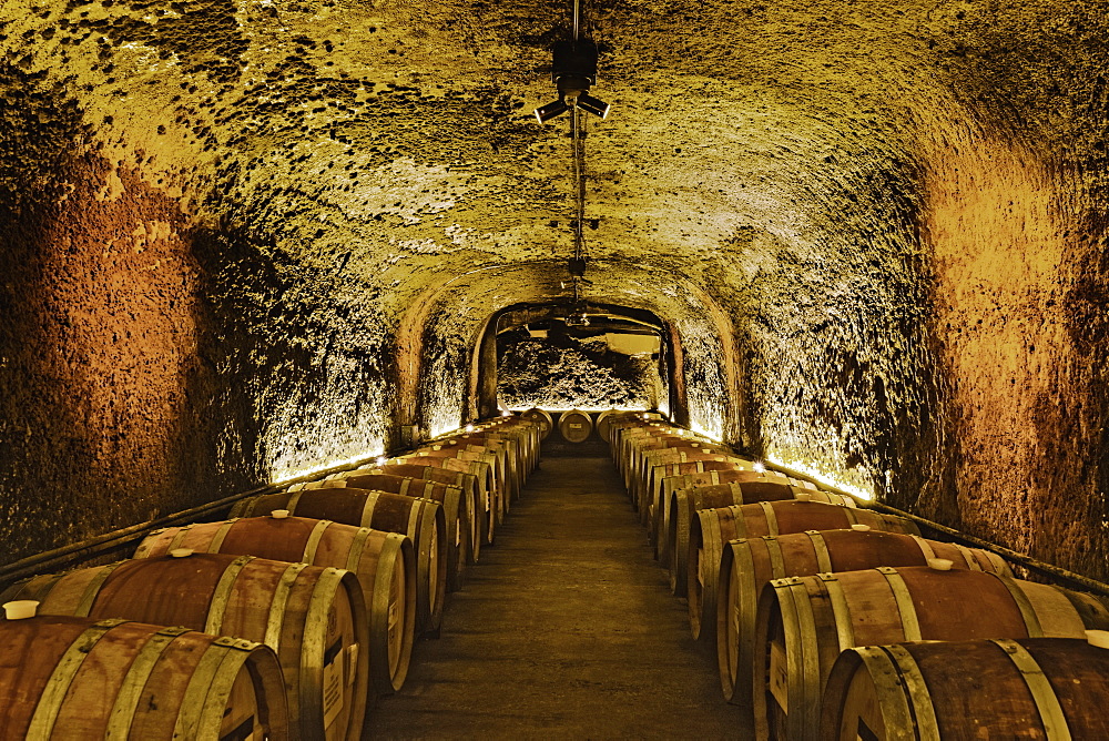 Wine barrels in cave cellar, NAPA, California, USA