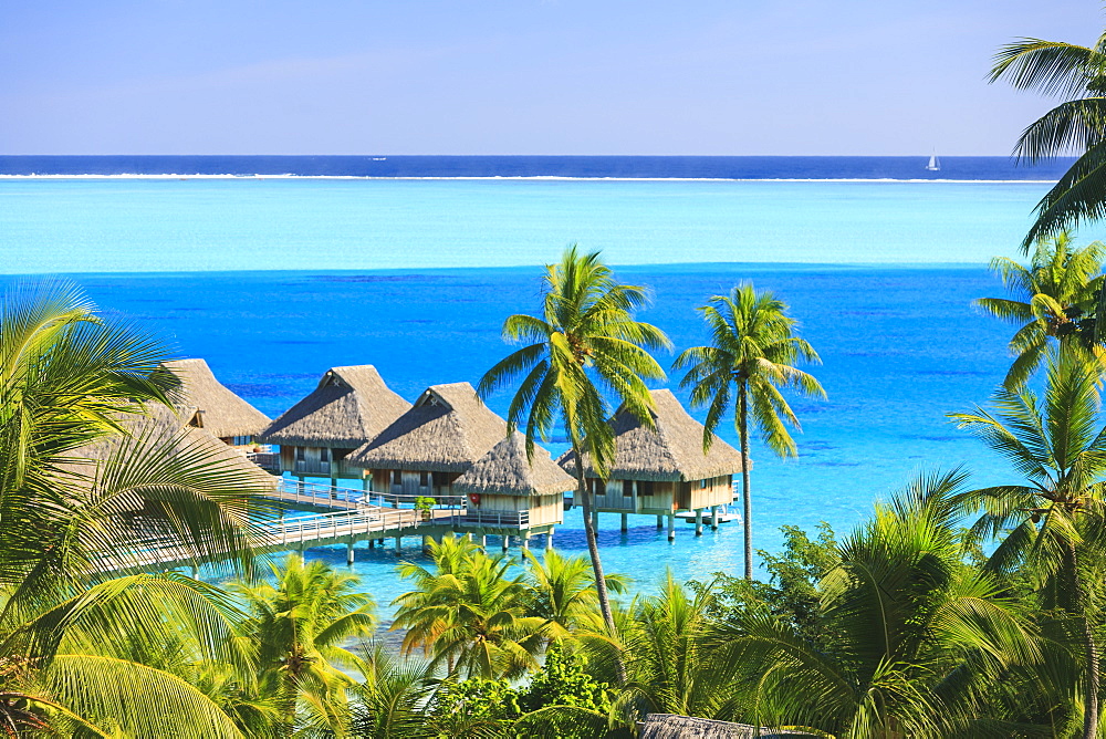 Palm trees overlooking tropical resort, Bora Bora, French Polynesia, Bora Bora, Bora Bora, French Polynesia