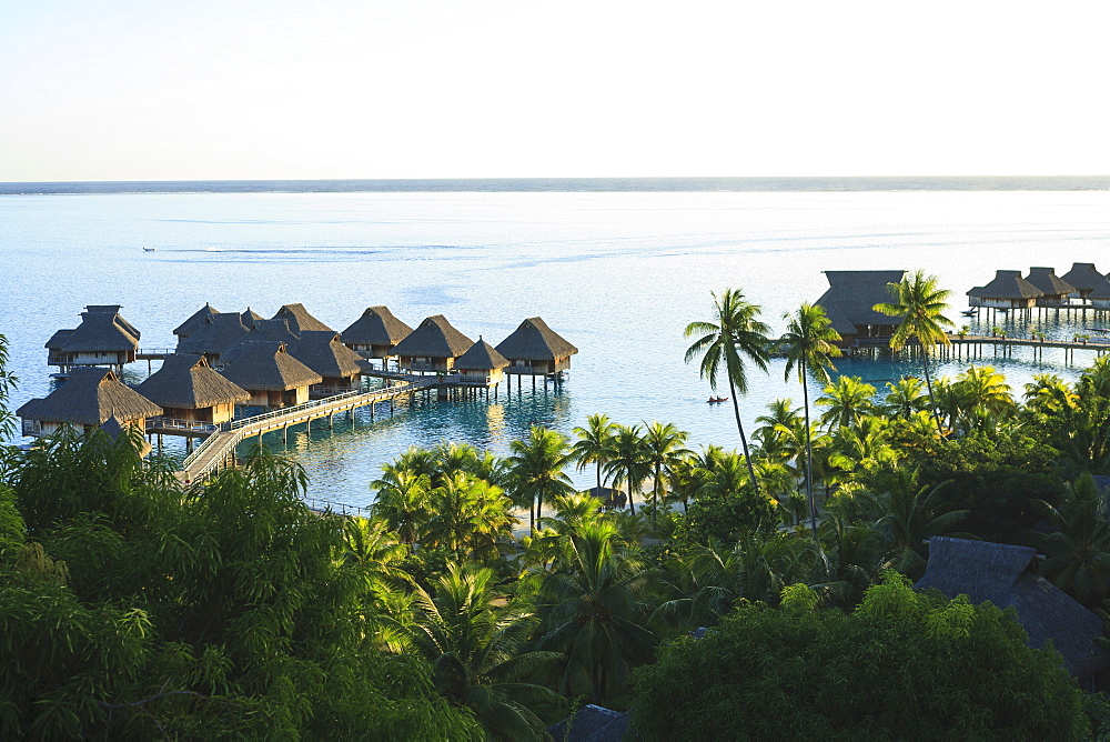 Palm trees overlooking tropical resort, Bora Bora, French Polynesia, Bora Bora, Bora Bora, French Polynesia