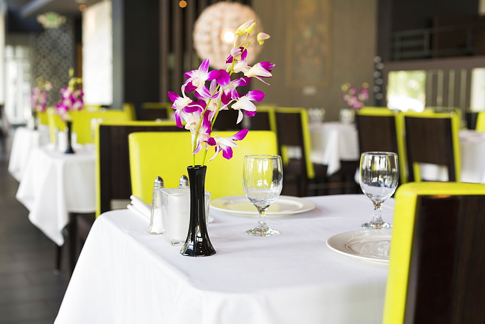 Set table in Thai restaurant, Seattle, Washington, USA