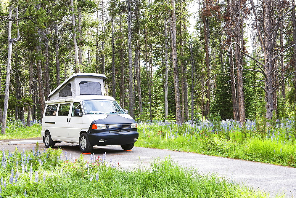 Camper van on rural road, Pioneer Mountains Parkway, Montana, United States