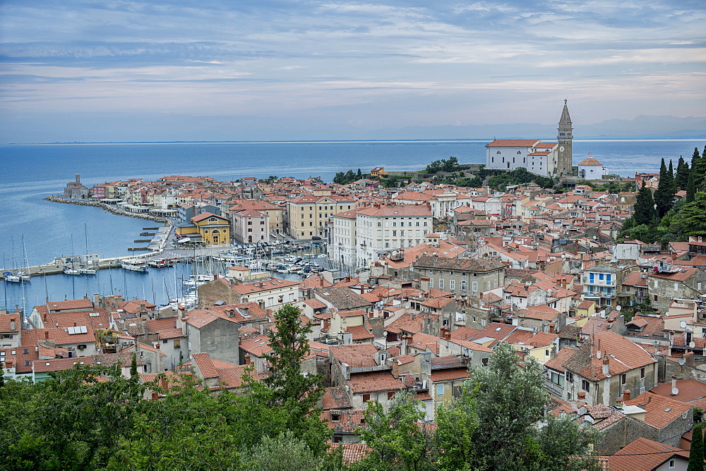 Aerial view of buildings in cityscape, Piran, Coastal-Karst, Slovenia