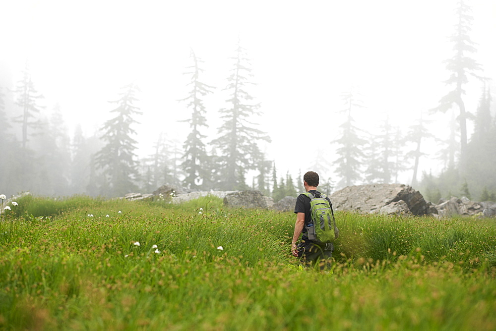 Man hiking in rural field, Leavenworth, Washington, USA