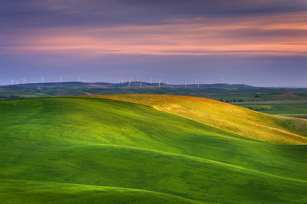 Rolling green hills in rural landscape, Palouse, Washington, USA