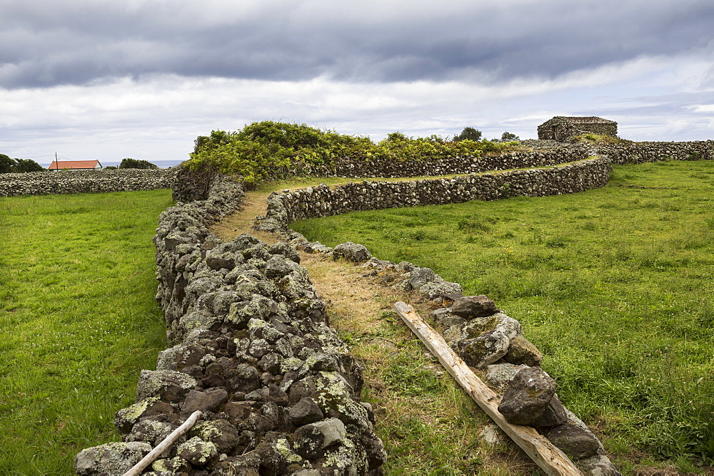 Elevated walkway between rural fields, Azores Islands, Flores, Portugal