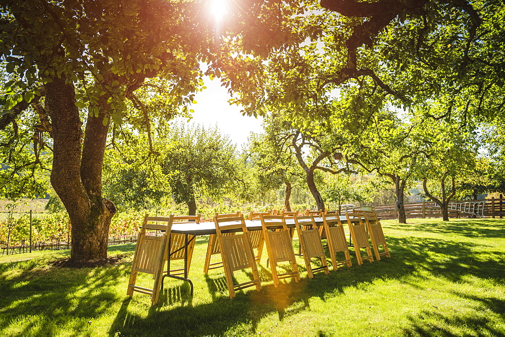 Folded chairs leaning on table in backyard, Langly, Washington, USA