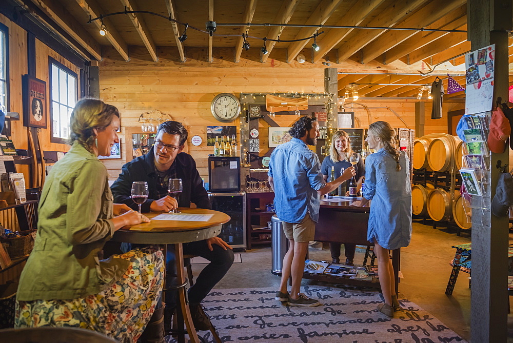 Caucasian people drinking wine in winery, Langly, Washington, USA