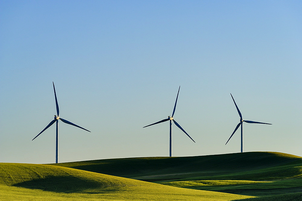 Wind turbines in green rolling landscape, Spokane, Washington, USA