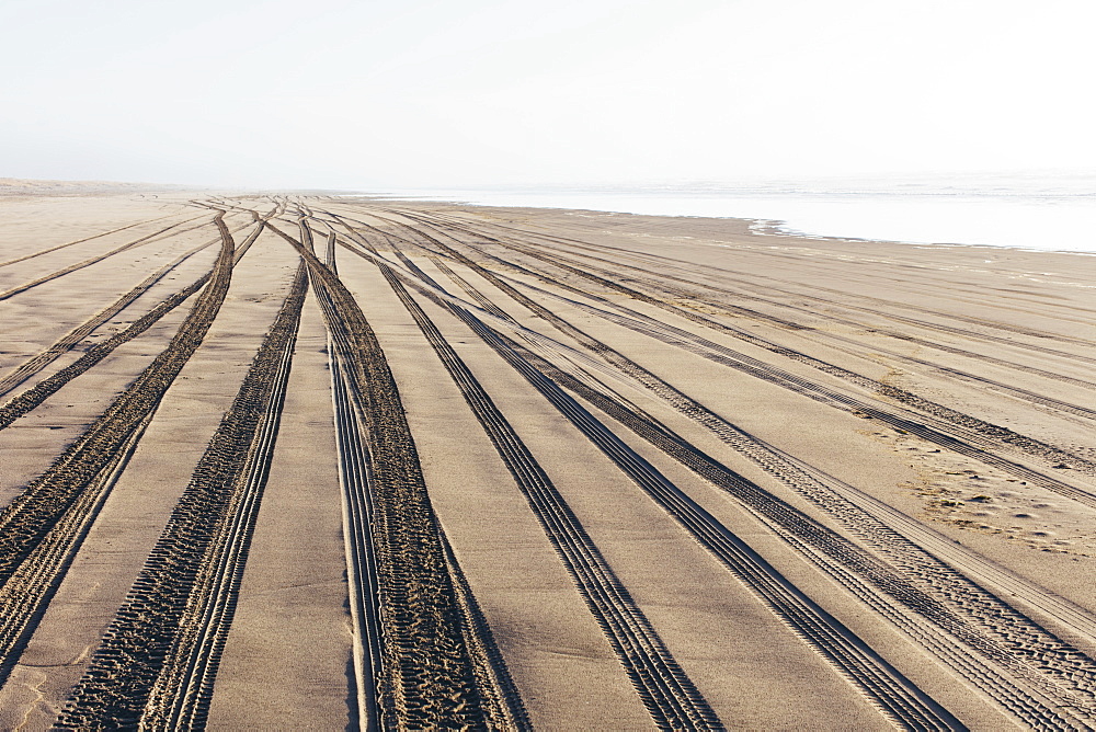 Tire tracks on the soft surface of sand on a beach, Long Beach Peninsula, Washington, United States