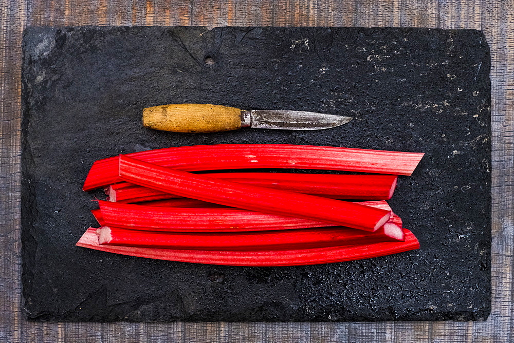 High angle close up of rhubarb stalks and knife on black slate, Oxfordshire, England