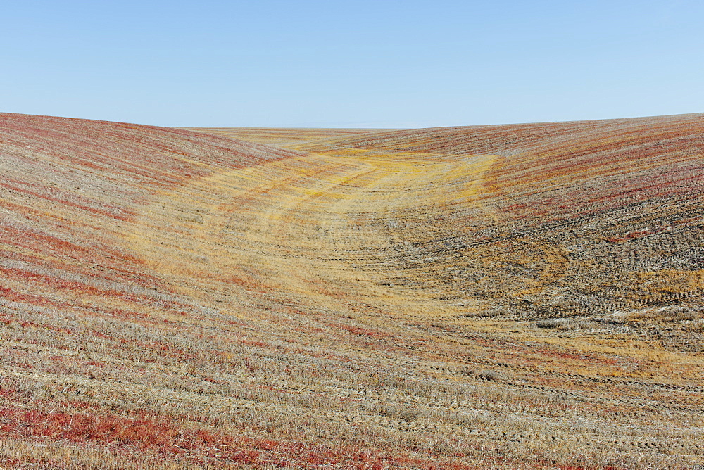 View of rolling hills and farmland, Palouse County, Washington, USA